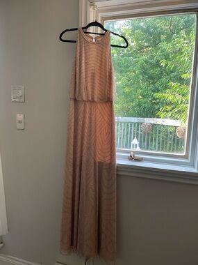 Adrianna Papell Blush Beaded Layered Maxi Dress